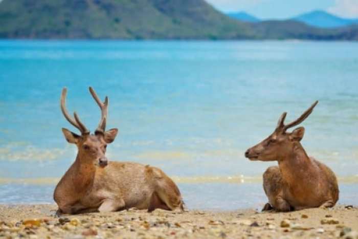 Taman Nasional Bali Barat