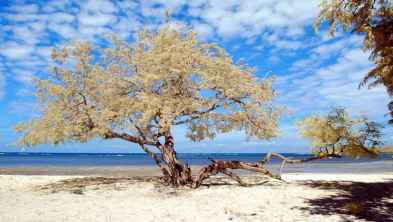 Paket Hemat Family Tour 3 Hari 2 Malam