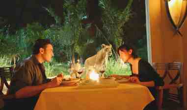 Rekomendasi Restoran di Bali yang Bikin Liburan Semakin Nyaman di Bali