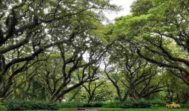 Rekomendasi Wisata Hits Banyuwangi: Kamu Wajib Kunjungi