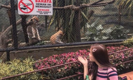 tempat liburan di batu malang