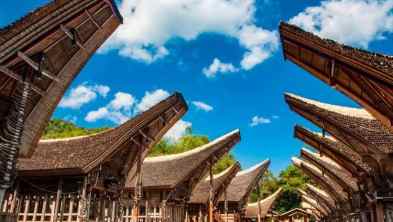 Paket Tour Wisata 4H3M Makassar - Toraja