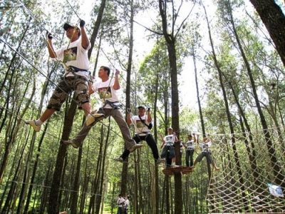 Outbound Kopeng Treetop