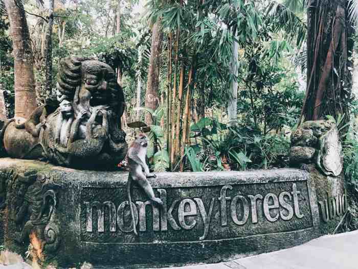 Monkey Forest Ubud