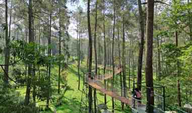 Paket Outbound Fullboard Orchid Forest Cikole di Lembang, Bandung
