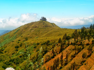 Puncak B 29 Lumajang