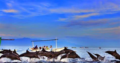 Pantai Lovina Pemandangan lumba-lumba