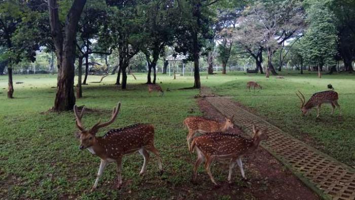 tempat wisata di bekasi