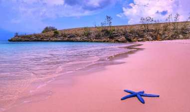 10 Wisata Alam Lombok 2025 yang Bikin Tak Ingin Pulang