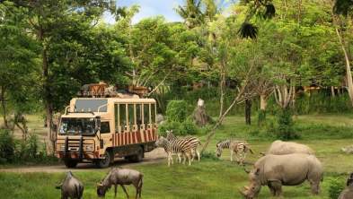 Paket Wisata Bali 4 Hari 3 Malam - Belum Termasuk Tiket Pesawat