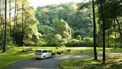 Family Tour 2H1M Prigen & Bromo Sunrise