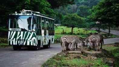 Paket Wisata Family Trip Prigen  & Sunset Bromo - Tour Murah