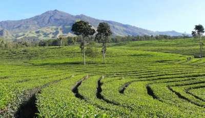 tempat outbound malang