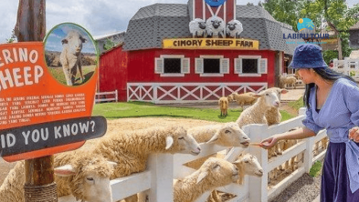 Family Tour Bogor 3 Hari 2 Malam