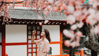 One Day Family Fun Trip Lembang Bandung