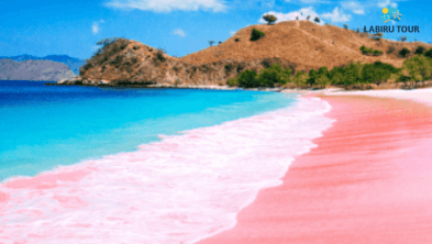 One Day Tour Pink Beach