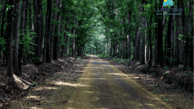 Paket Wisata One Day Family Tour Alas Purwo – Banyuwangi